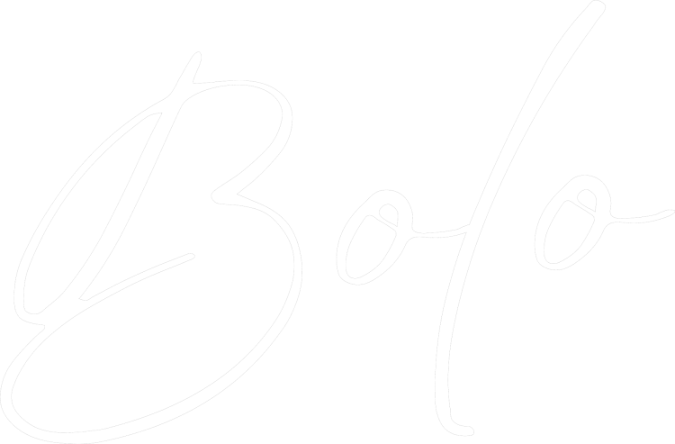 bolo-logo